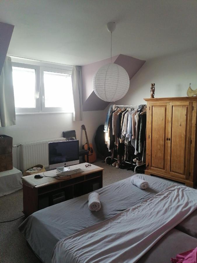 Double Lilas Et Uniquement Femmes Brussels